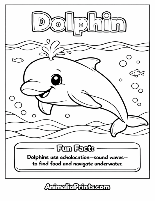 Cute Dolphin — Free Coloring Page