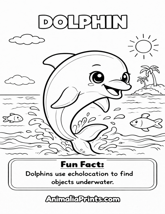 Cute Dolphin — Free Coloring Page