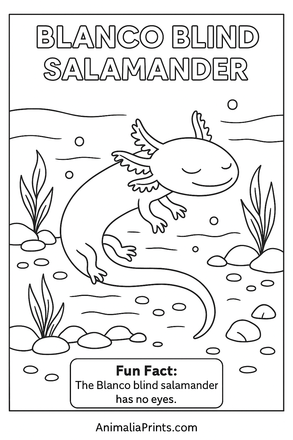 Cute Blind Blanco Salamander — Free Coloring Page