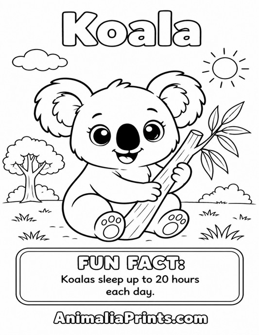 Cute Koala — Free Coloring Page