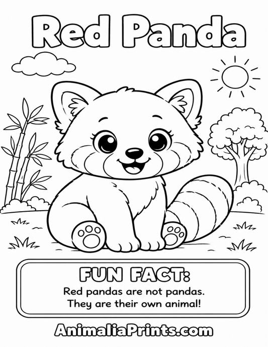 Cute Red Panda — Free Coloring Page