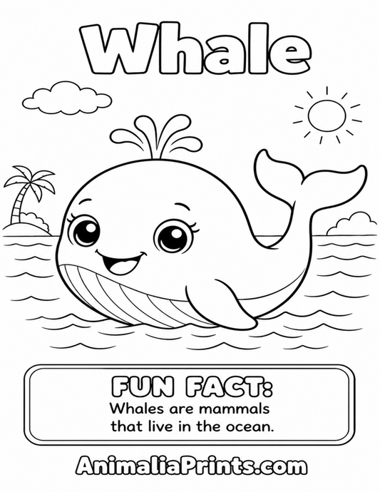 Cute Whale — Free Coloring Page