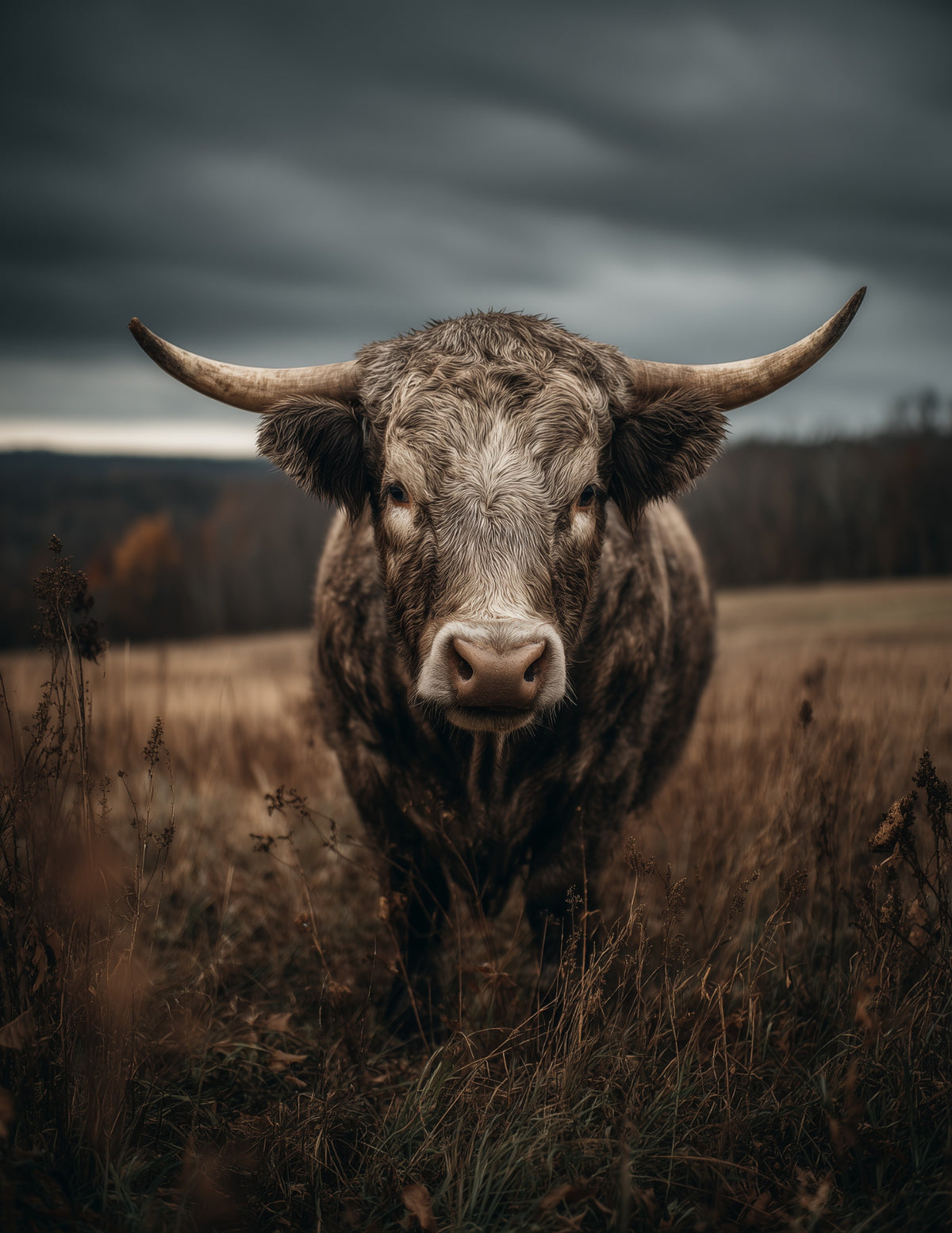 Cow —Realistic Art, Moody Shadows Digital Wall Art, 3 Sizes Included, Living Room Decor