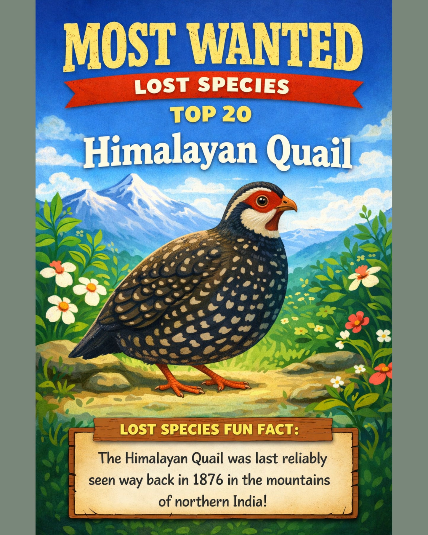 Himalayan Quail — Lost Species Art, Most Wanted Top 20, 3 Sizes Included, Living Room Decor