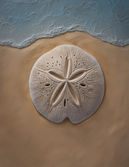 Sand Dollar — Realistic Art, Nature Theme Digital Wall Art, 3 Sizes Included, Living Room Decor
